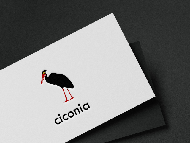 лого для ciconia