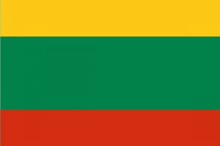 Перевод на литовский