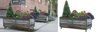 Цвет