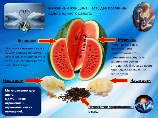 Работа 4049820