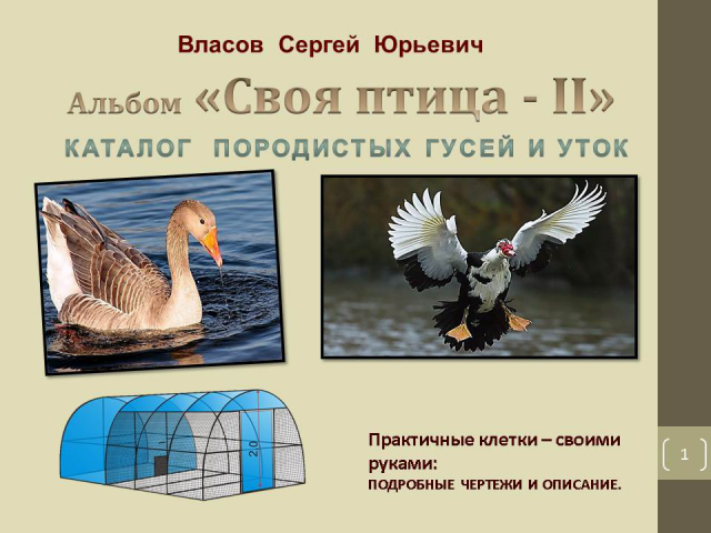 Работа 4049840
