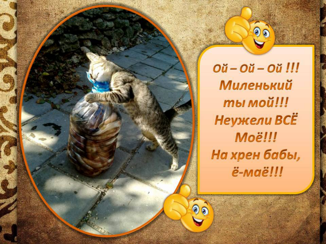 ПРЕЗЕНТАЦИИ