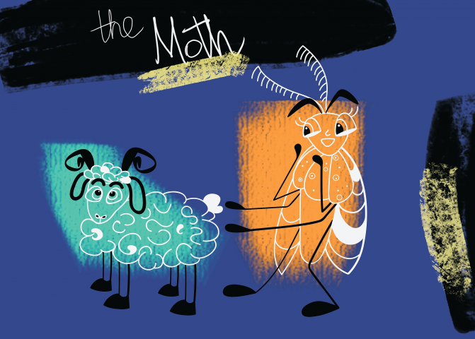 The Moth