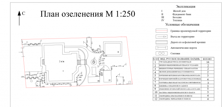 дендроплан