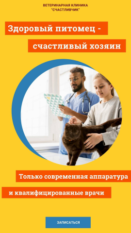 Рекламный макет ветеринарной клиники