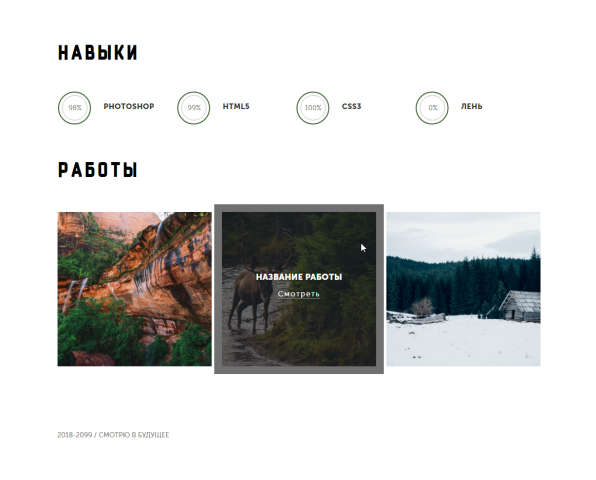 gallery -slider