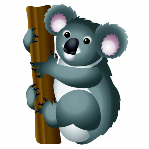 Коала вектор