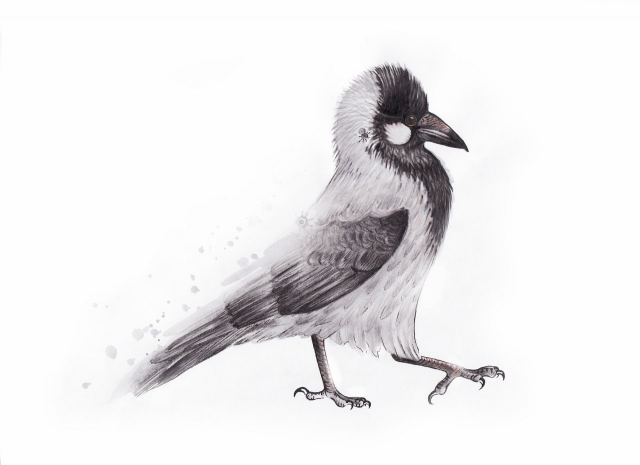 Иллюстрация к книгe "Рассказы о животныx"