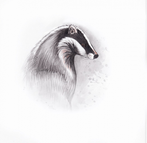 Иллюстрация к книгe "Рассказы о животныx"