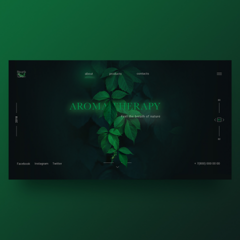 Концепт главного экрана spa "Aromatherapy"