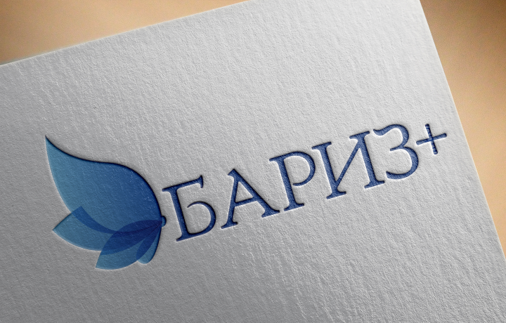 Логотип для компании Бариз+