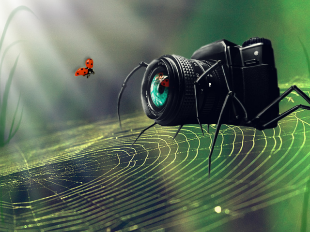 The camera-spider