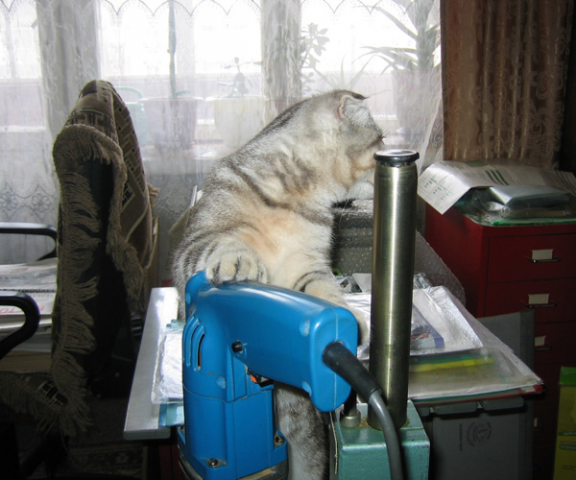 Подмастерье