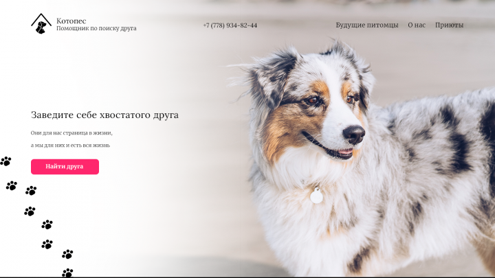 Работа 4003779