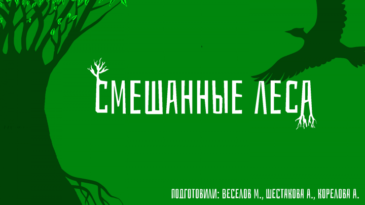 Презентация "Смешанные леса"