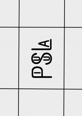 Коробка для бренда PISULA