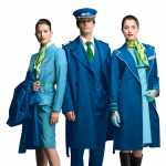 Работа 351838