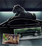 Работа 933168