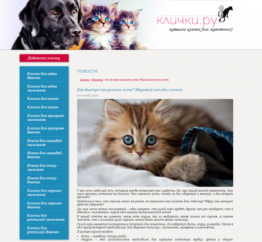 Как быстро накормить кота?