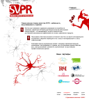 SVPR - Original creative & production