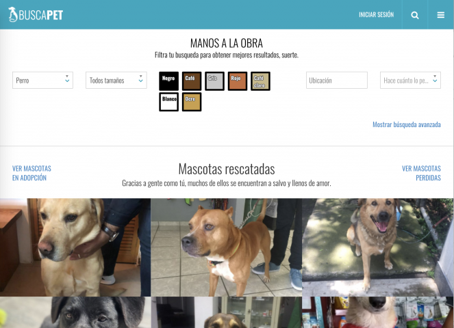 BuscaPet