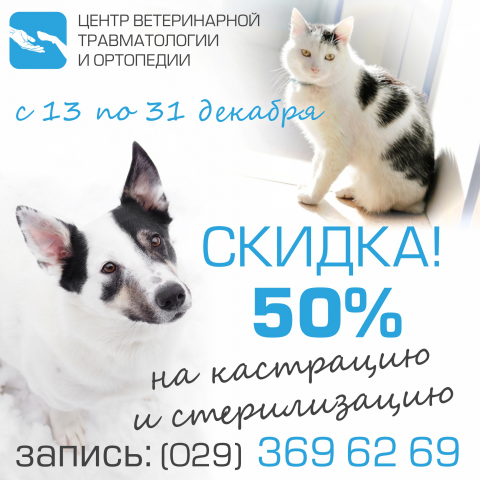 ветклиника скидки