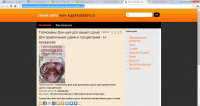 "Талисманы фен-шуй для вашего дома", книга, написана мной в 2005