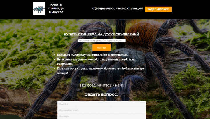 Лендинг коллекционера пауков птицеедов