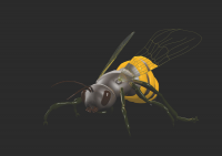 Bee_2