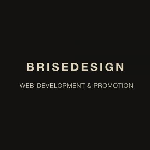 Разработка авторского сайта BRISEDESIGN
