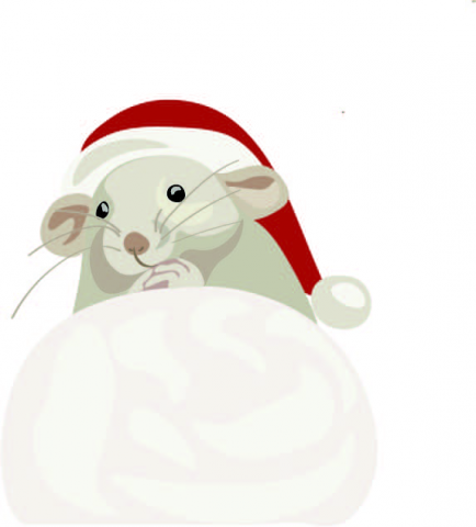 Mouse
