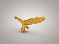 Eagle_2
