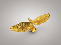 Eagle_1