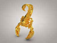 Scorpion_1