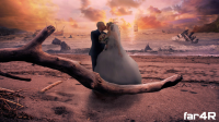 Wedding_3