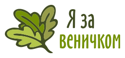 Логотип и нейминг для интернет-магазина товаров для бани и сауны