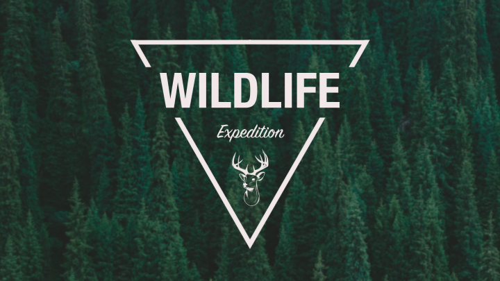 Wildlife