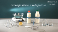 Опыт с творогом