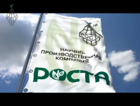 История развития компании РОСТА