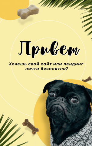 Истории для инстаграм