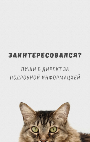 Истории для инстаграм