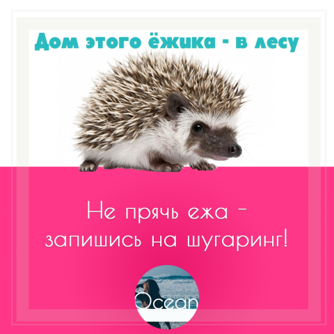 Веб-баннер для студии шугаринга