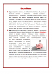 Разработка названия для B2B-дисконтной системы.