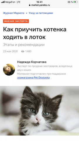Экспертная статья "Как приучить котенка к лотку"