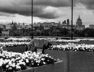 День Фотографа 2015