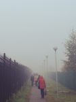 Прекрасное далеко