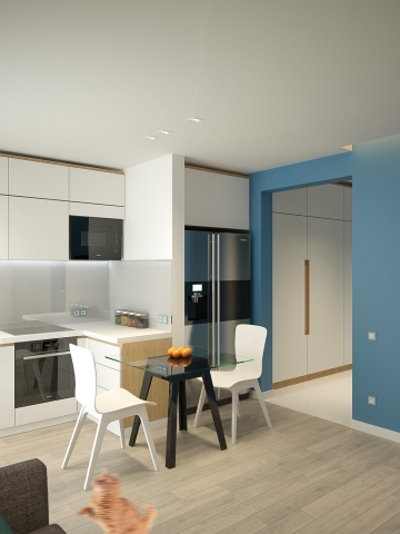 Кухня-гостиная