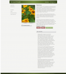 Описание товаров для интернет магазина. Цветы, настурция.