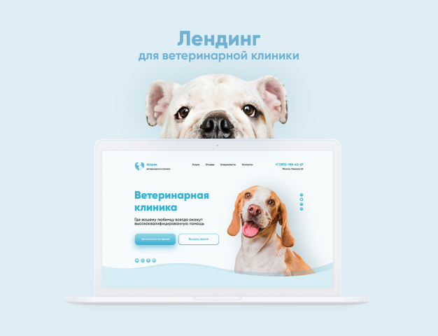 Лендинг для ветеринарной клиники