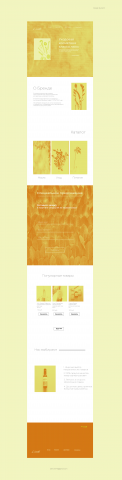Дизайн сайта косметики